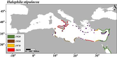 Projected Rapid Habitat Expansion of Tropical Seagrass Species in the Mediterranean Sea as Climate Change Progresses